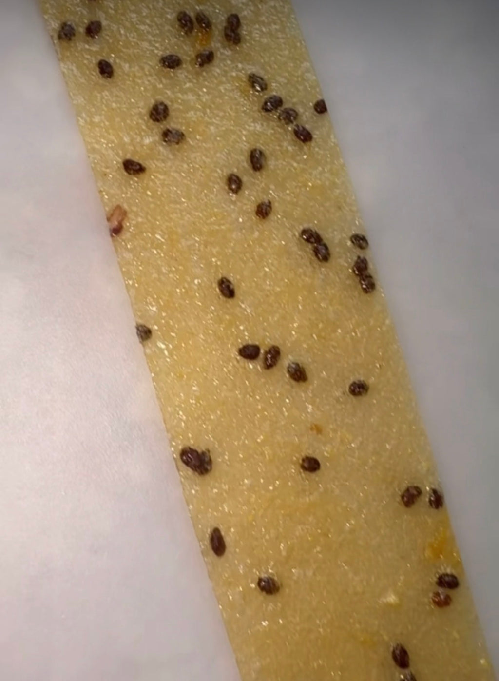 Cottage FRUIT LEATHER